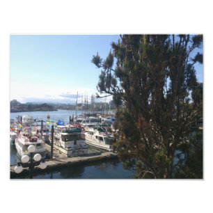 Victoria Harbour Photo Print