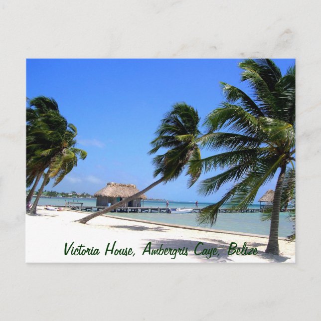 Victoria House Ambergris Caye Belise Postcard (Front)