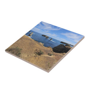Victoria’s Bay of Islands Coastal Panorama Tile