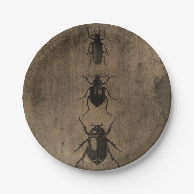 Victorian Beetle illustrations Grunge Halloween  Paper Plate (Front)