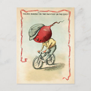 Victorian Bike Radish Postcard