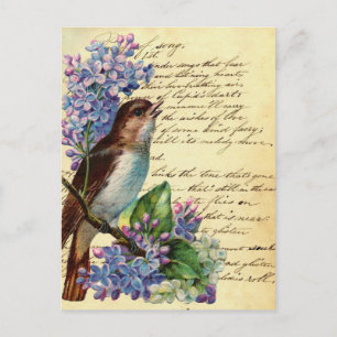 Victorian Bird and Typography I Postcard