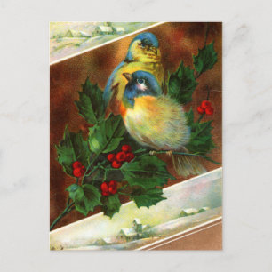 Victorian Bird Christmas Postcard