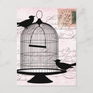 Victorian Birdcage Pink Postcard