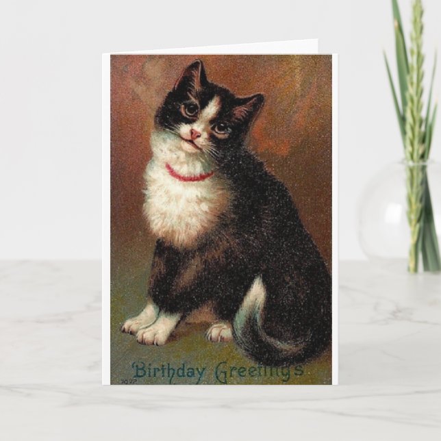 Victorian Black And White Cat Birthday Card (Front)