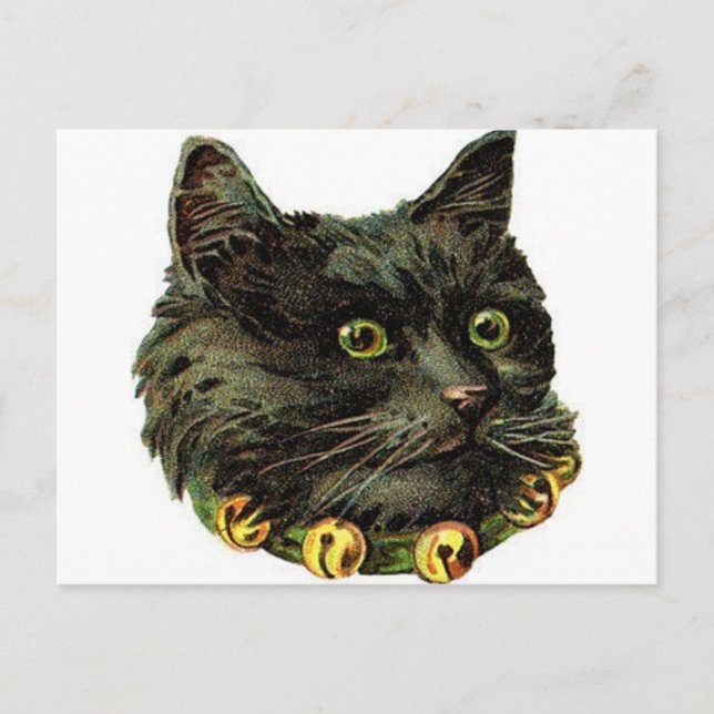 Victorian black cat with bell collar postcard (Front)