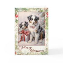Victorian Blue Merle Aussie Puppy Christmas