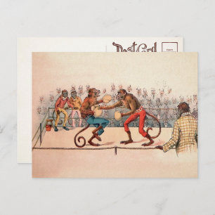 Victorian Boxing Monkeys Postcard
