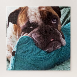 Victorian Bulldog Photo 20x20 Puzzle