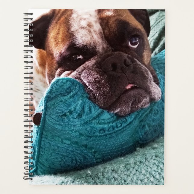 Victorian Bulldog Photo 8x11 Notebook Planner (Front)