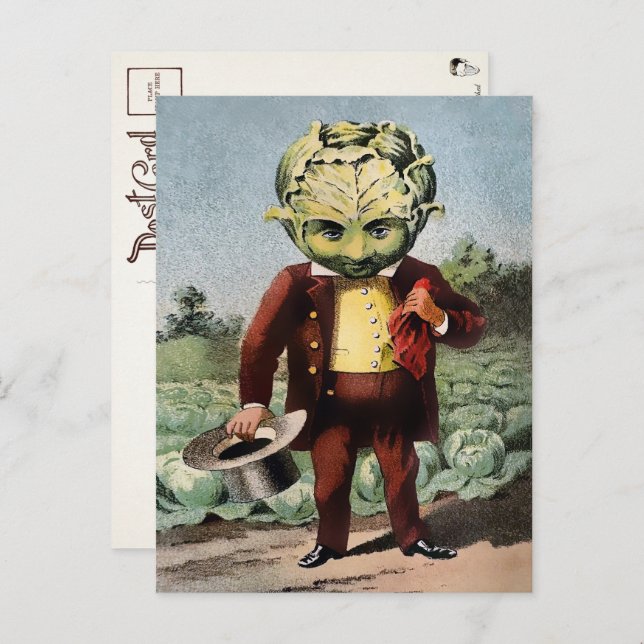 Victorian Cabbage Head Postcard (Front/Back)