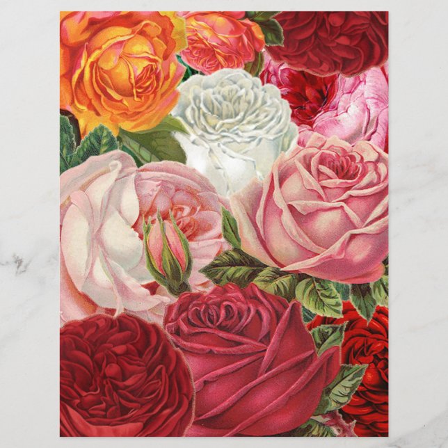 Victorian Cabbage Roses Collage Scrapbook Paper (Front)