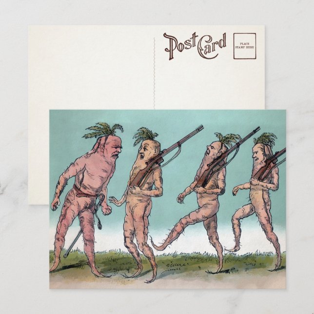 Victorian Carrot Army Postcard  (Front/Back)