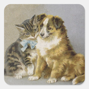 Victorian cat and dog intimate friendship square sticker