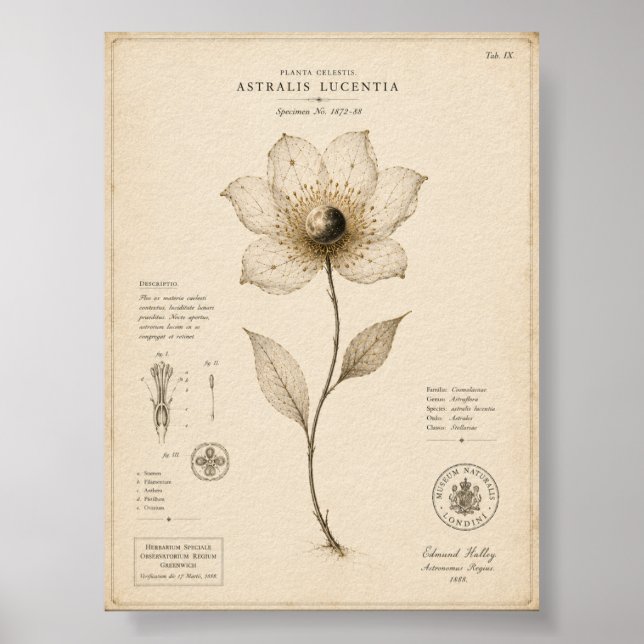 Victorian Celestial Botanical Museum Print (Front)