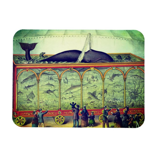 Victorian circus vintage exhibition  magnet (Horizontal)