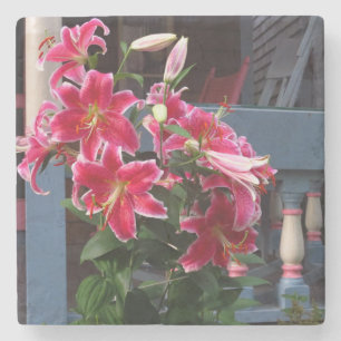 Victorian Cottage Pink Lilies - Martha's Vineyard Stone Coaster
