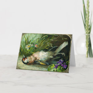 Victorian Dead Bird Christmas Card