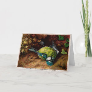 Victorian Dead Bird Christmas Card