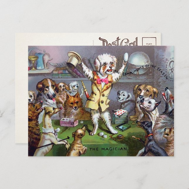 Victorian Dog Magician Postcard (Front/Back)