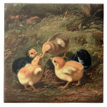 Victorian Era Baby Chickens Tile<br><div class="desc">This is a digitally enhanced print of an antique Victorian era art of baby chickens.</div>