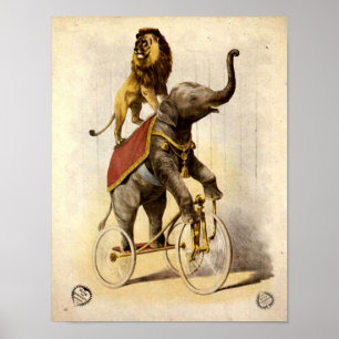 Victorian Era Circus Lion & Elephant on Tricycle Poster