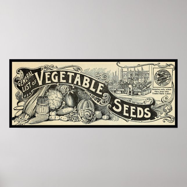 Victorian Era Vegetable Seeds Poster (Front)