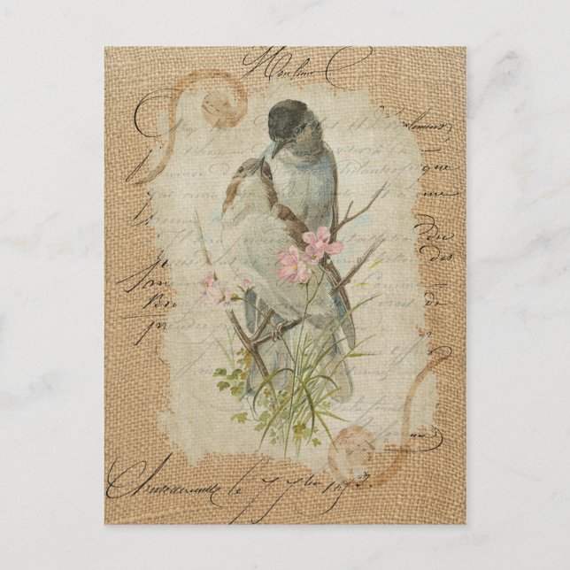 Victorian French Love Birds Love Song Postcard (Front)