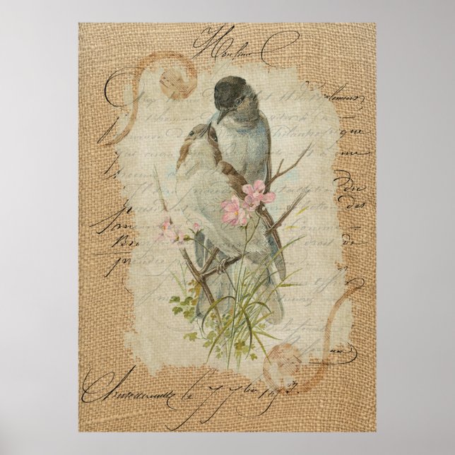 Victorian French Love Birds Love Song Poster (Front)
