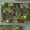 Victorian Gothic Dark Botanicals Forest Glam 