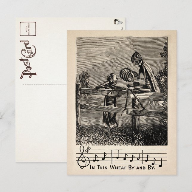 Victorian Grasshopper Song Postcard (Front/Back)