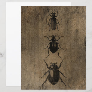 Victorian Halloween Gothic Bugs Scrapbook Paper