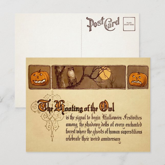 Victorian Halloween Hooting Owl Postcard (Front/Back)