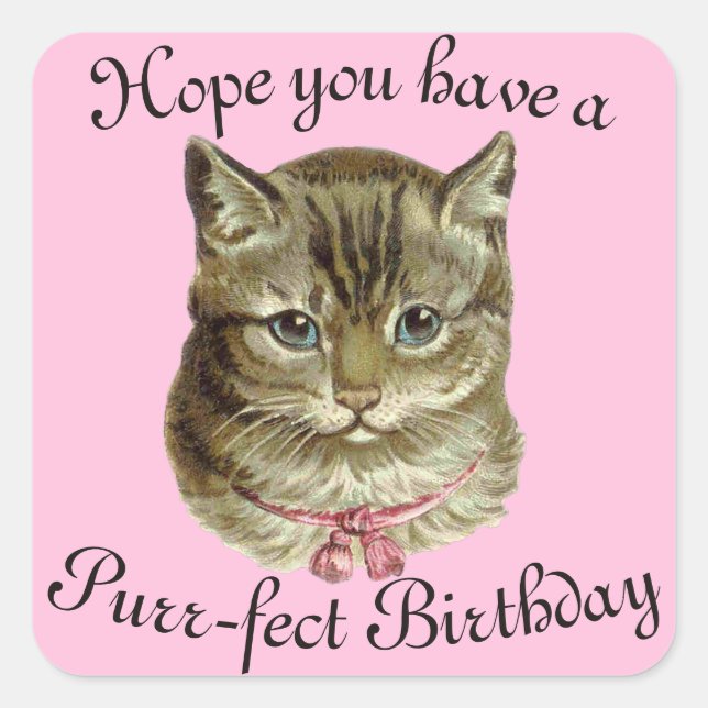 Victorian Happy Birthday Kitty Wishes Square Sticker (Front)
