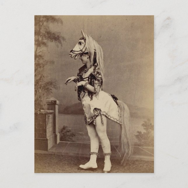 Victorian Horse Costume Daguerreotype/Photo Postcard (Front)