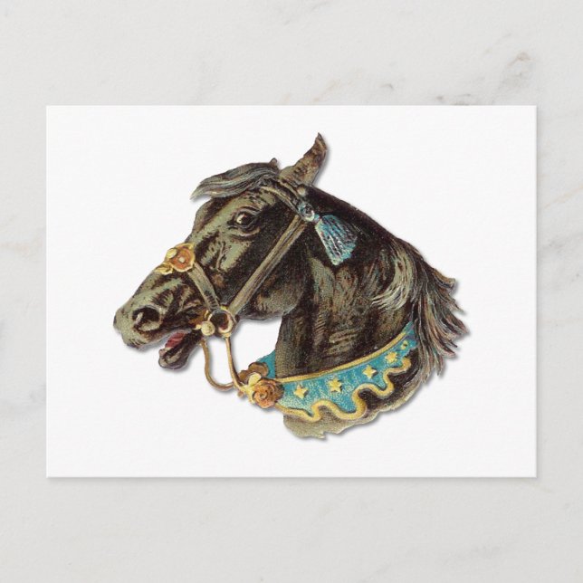 Victorian Horse Postcard (Front)