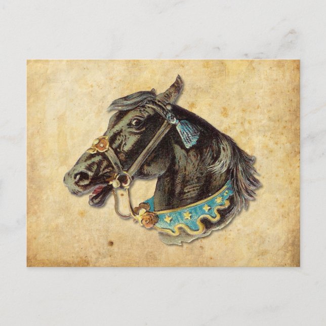 Victorian Horse Postcard (Front)