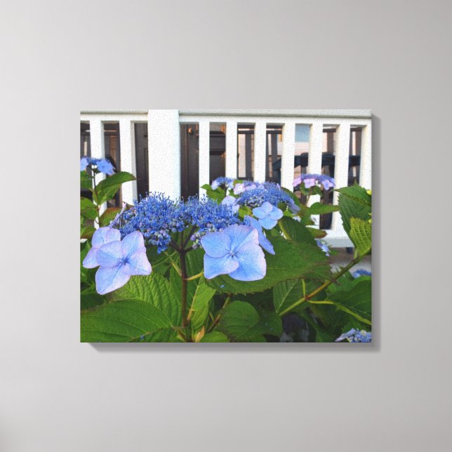 Victorian Hydrangea and Porch - Martha's Vineyard Canvas Print (Front)