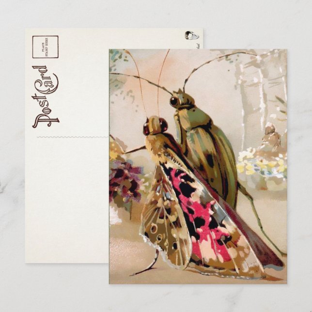 Victorian Insects Postcard (Front/Back)