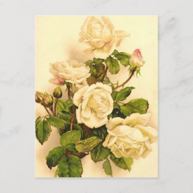 Victorian Ivory Rose Painting Postcard (Front)