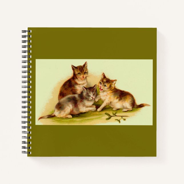 Victorian kittens notebook (Front)