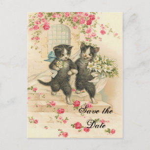 Victorian Kittens Wedding Save the Date Announcement Postcard