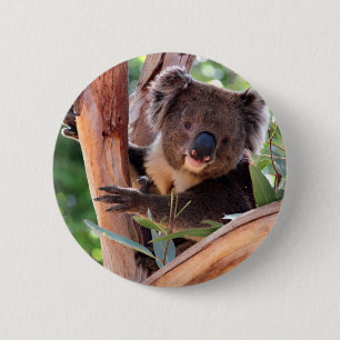 Victorian Koala 6 Cm Round Badge