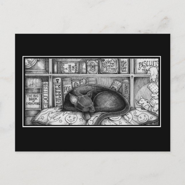 Victorian Library Cat Postcard (Front)
