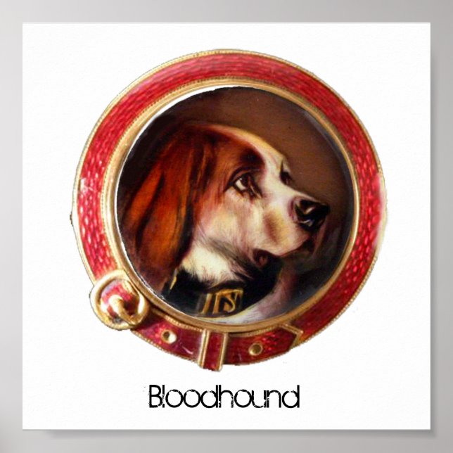 VICTORIAN MINIATURE DOG PORTRAITS Bloodhound Poster (Front)