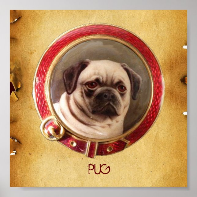 VICTORIAN MINIATURE DOG PORTRAITS Pug Poster (Front)