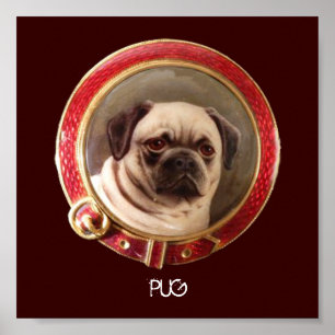 VICTORIAN MINIATURE DOG PORTRAITS Pug Poster