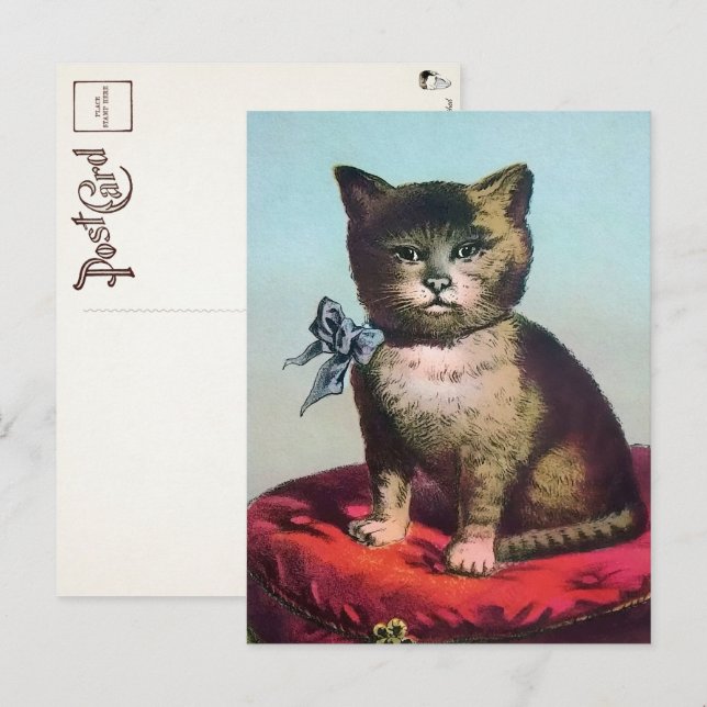 Victorian Odd Cat Postcard (Front/Back)