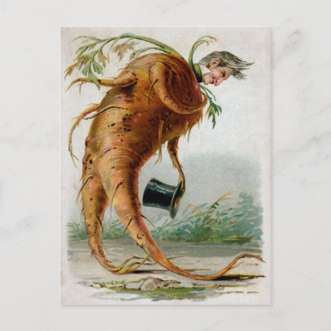 Victorian Odd Root Man Postcard (Front)