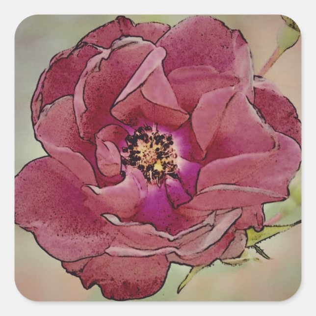 Victorian Open Rose Sticker (Front)